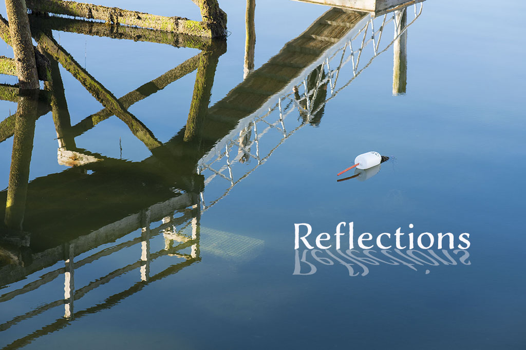 Reflections cover photo