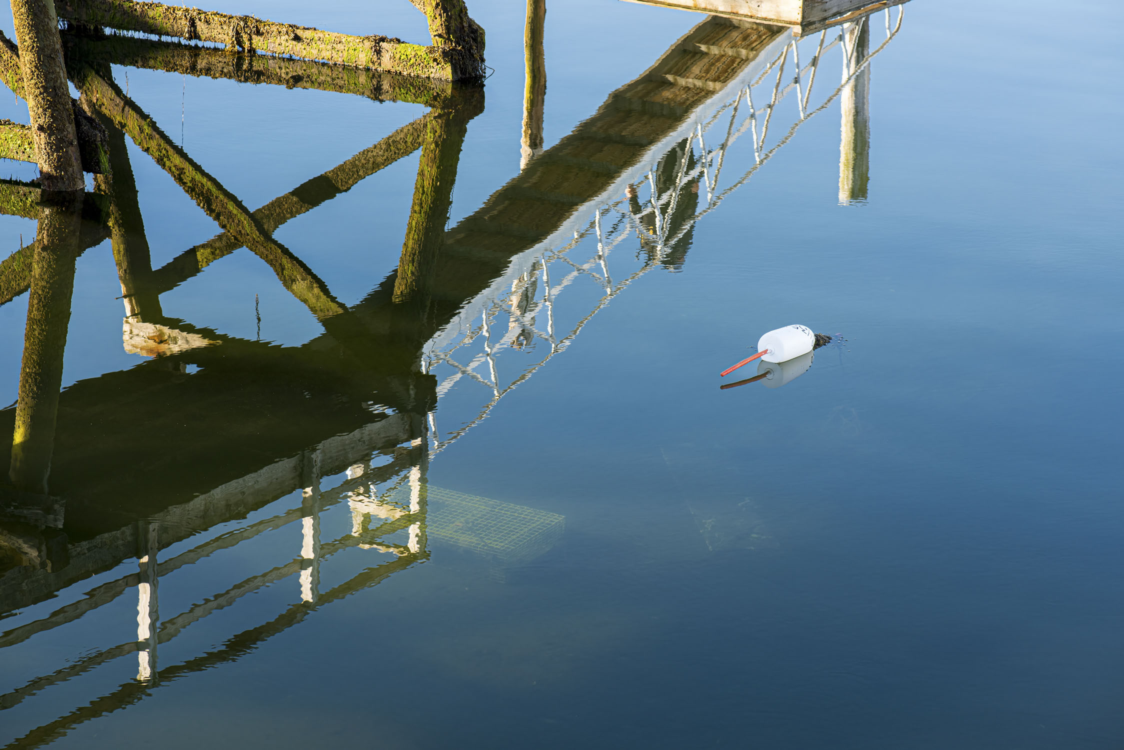 Reflections of a pier and bouy in the water