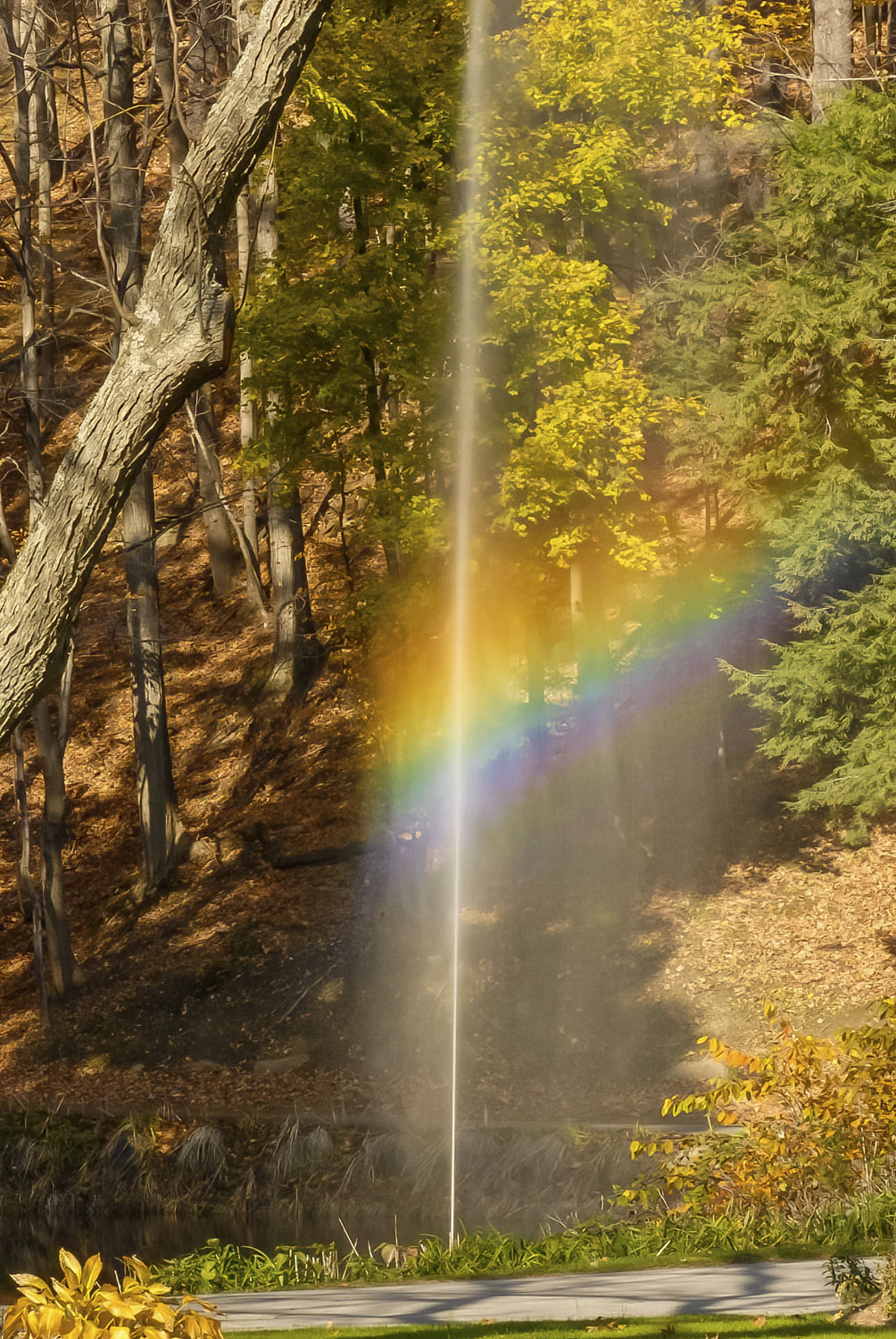 Unexpected rainbow from a thin stream of water