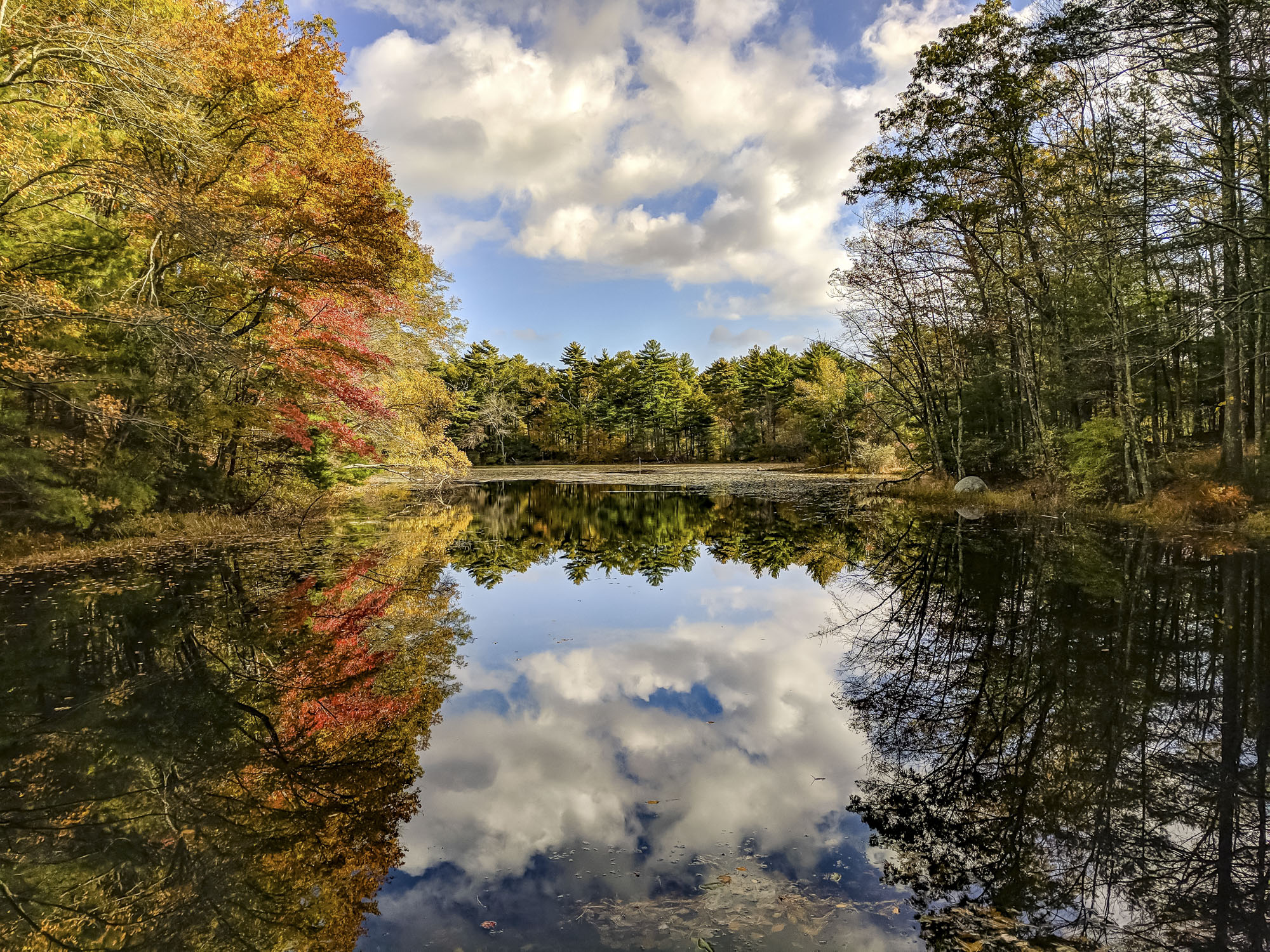 Autumn foliage, Pratt Farm, Middleboro, MAssachusetts