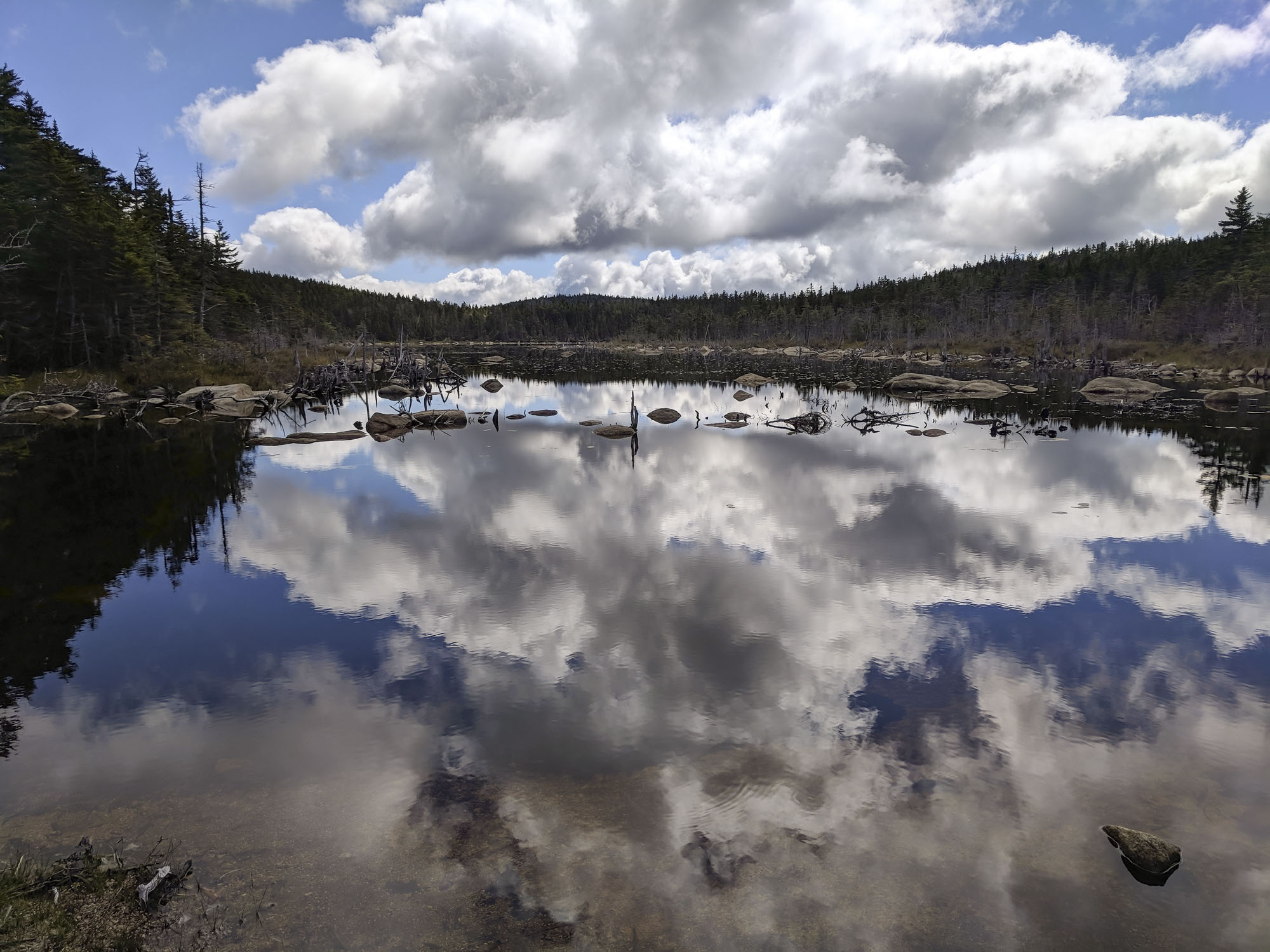 Clouds reflecting in a mountain pool. Nancy Pond, New Hampshire.