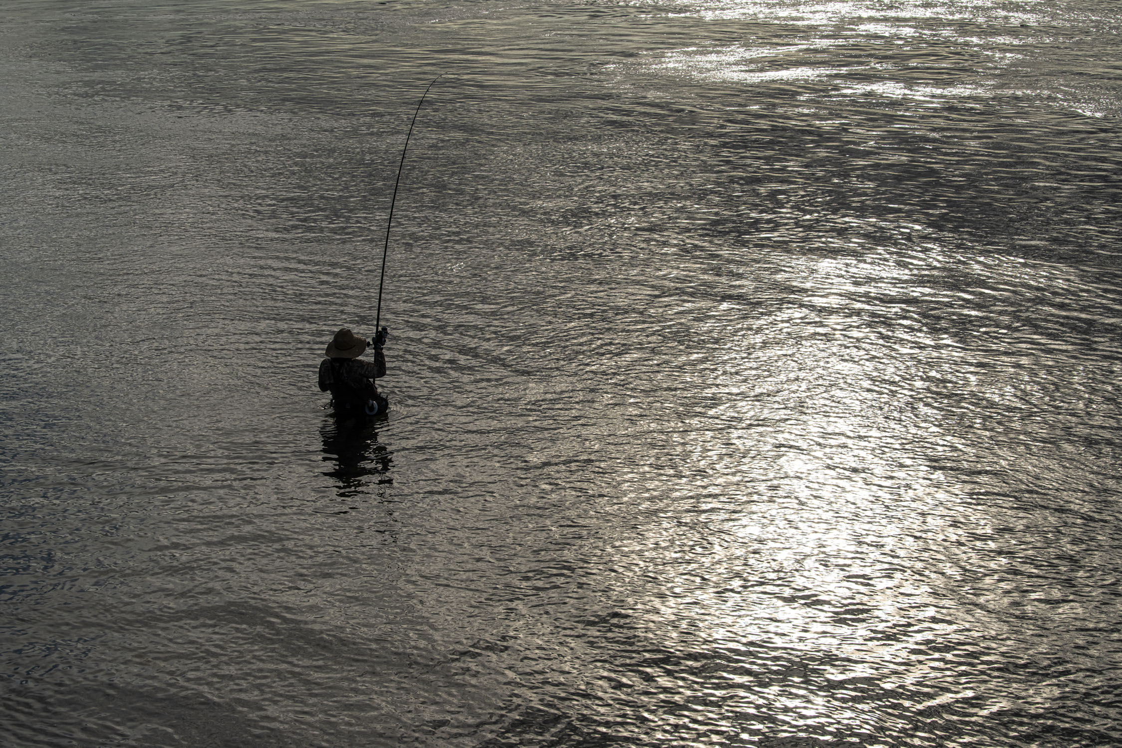 Lone fly fisherman in the water, Cape Cod Canal