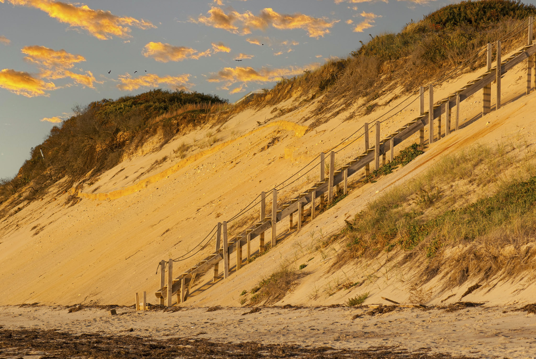 Large sand dune with steps going up it, Cape Cod