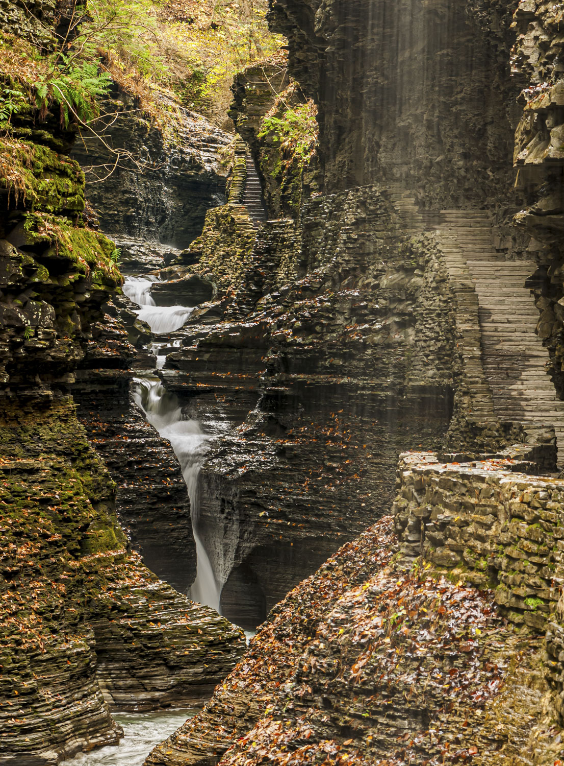 Watkins Glen in New York State