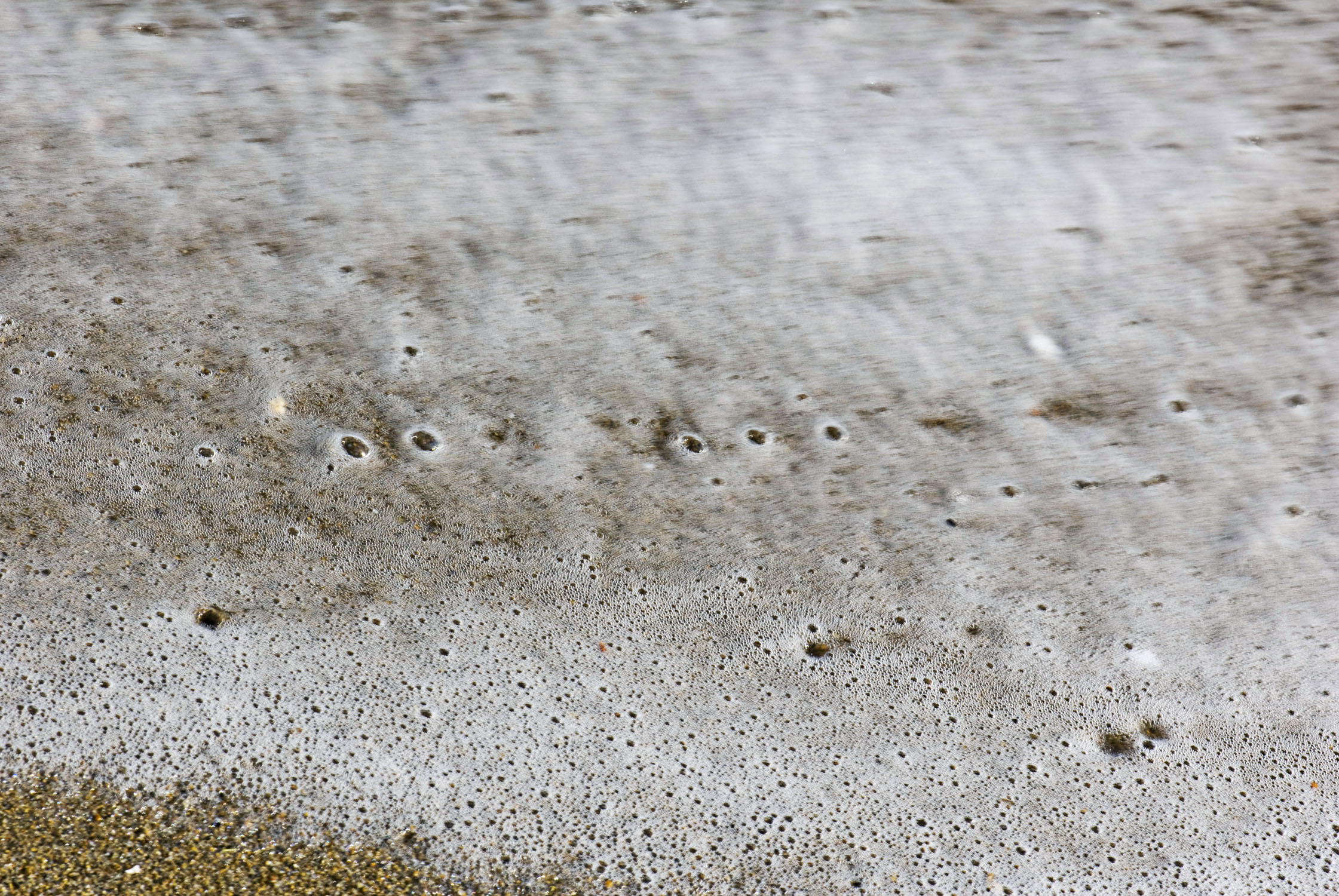 foam from a wave against sand