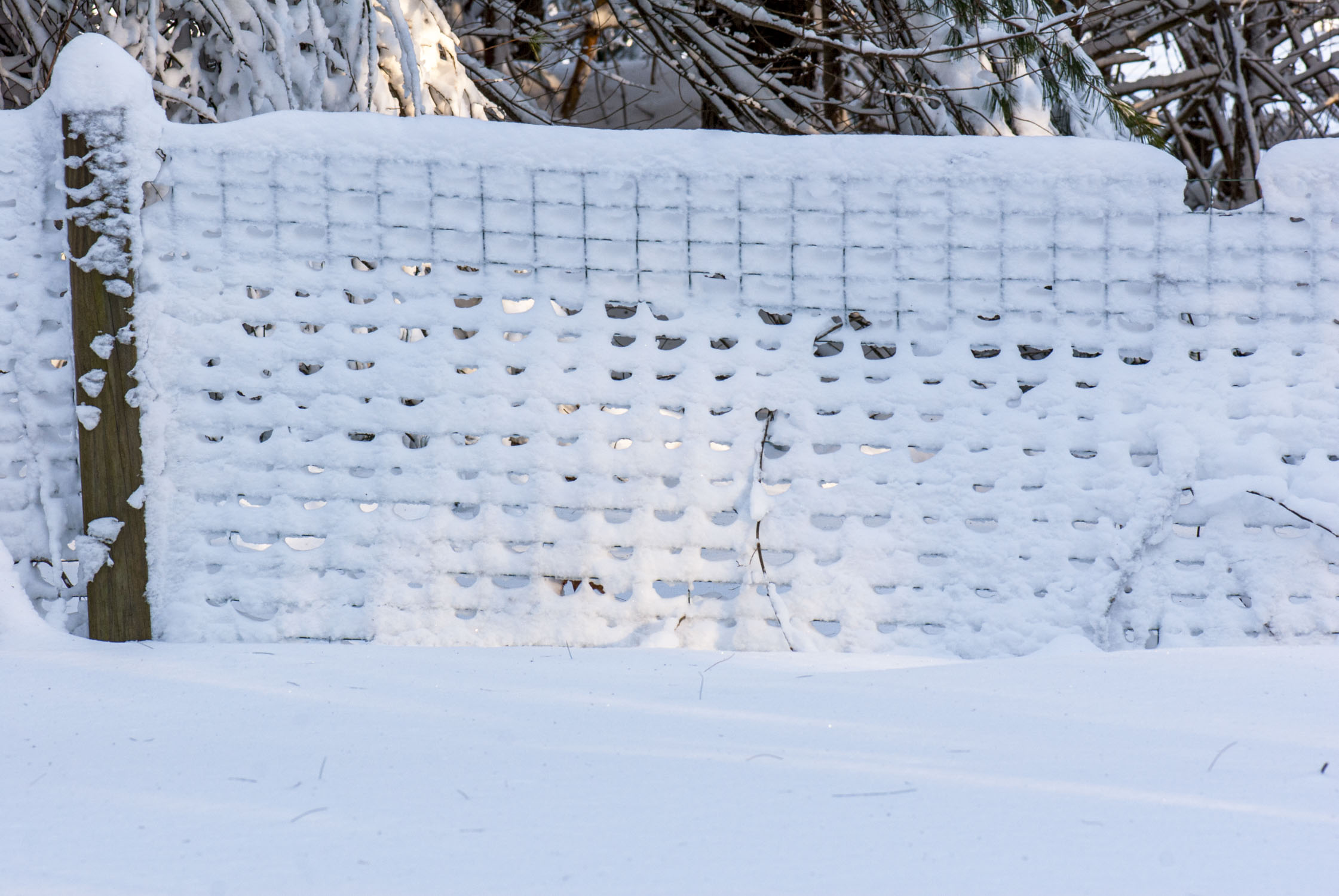 Snow on a wire fence