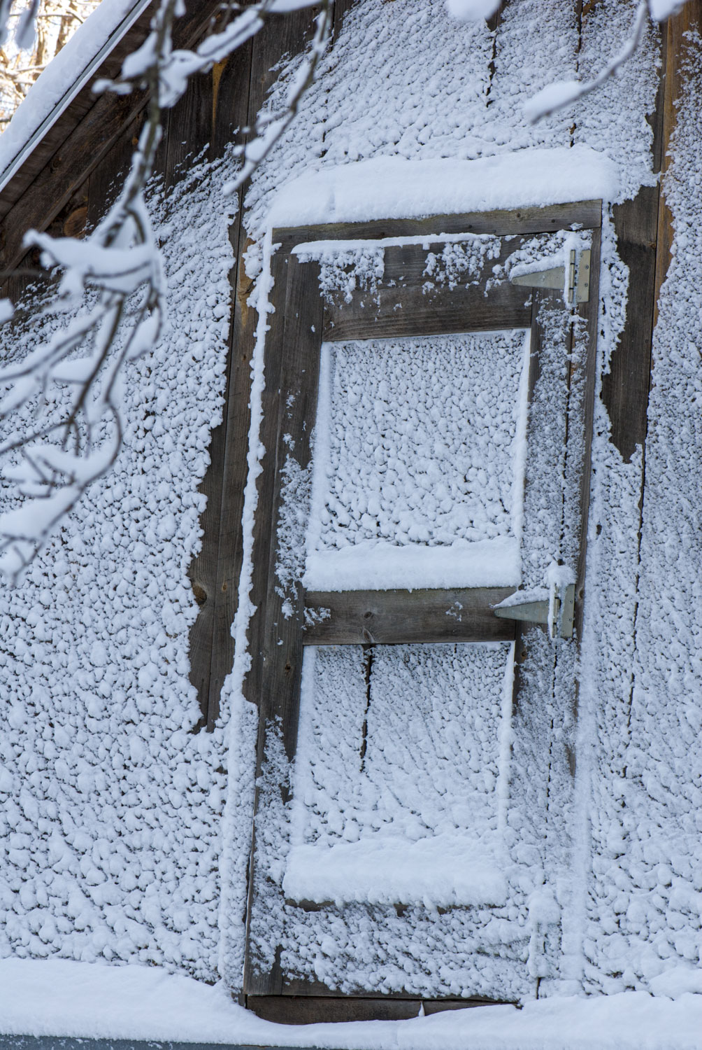 Snow plastered against the side of a barn