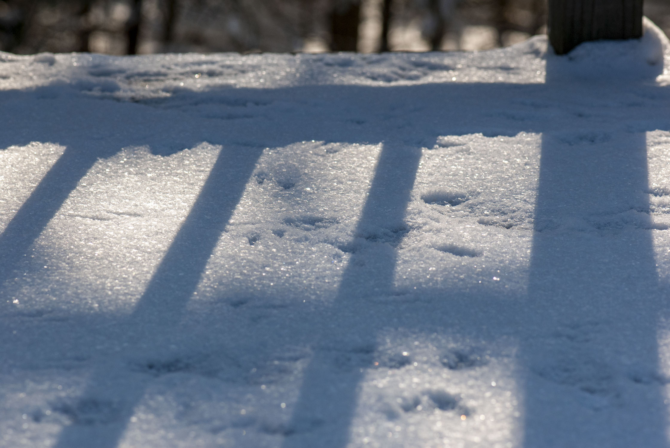 Shadows of a fence seen on snow