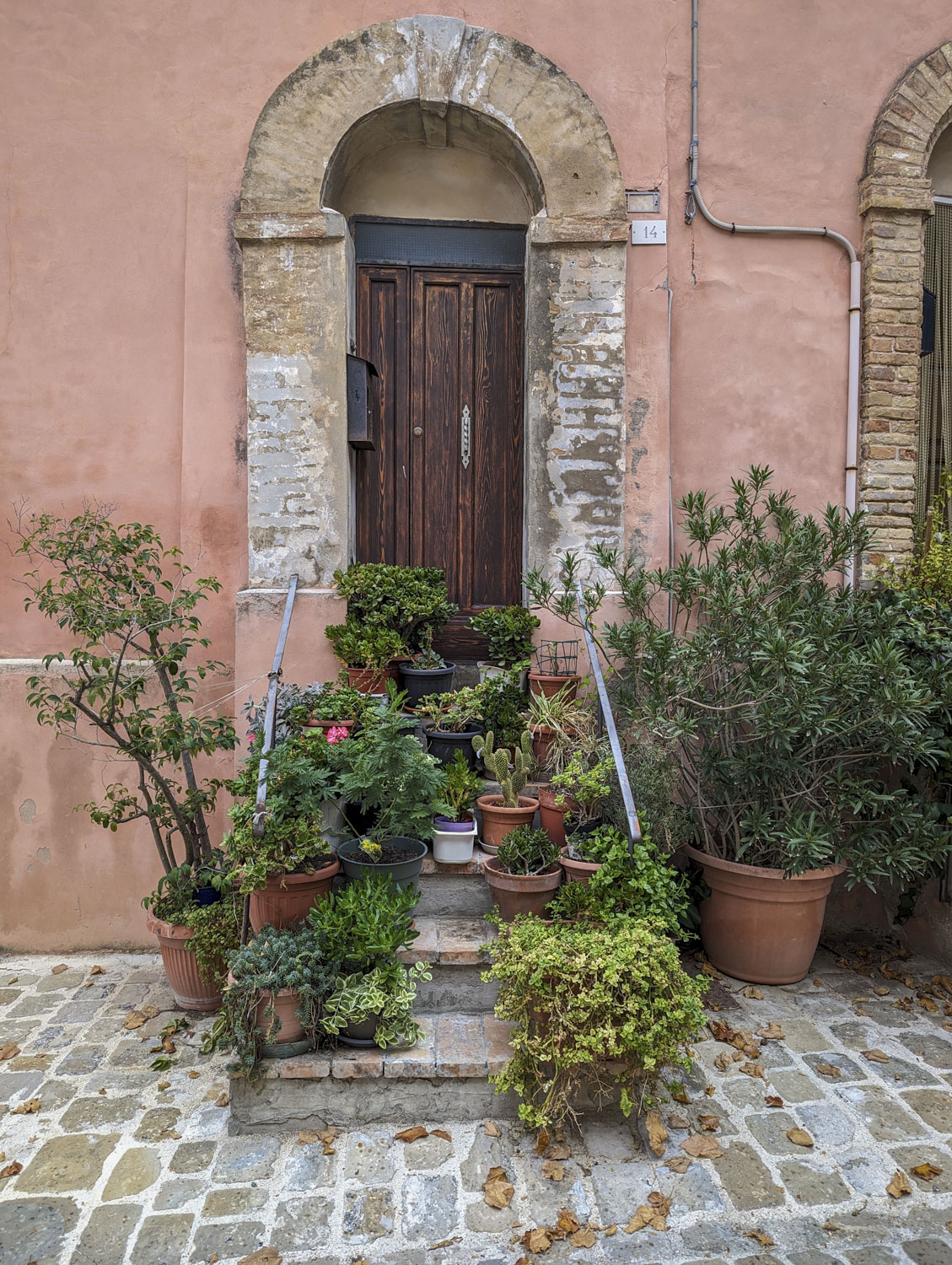 A door with the entry covered in plants in Italy