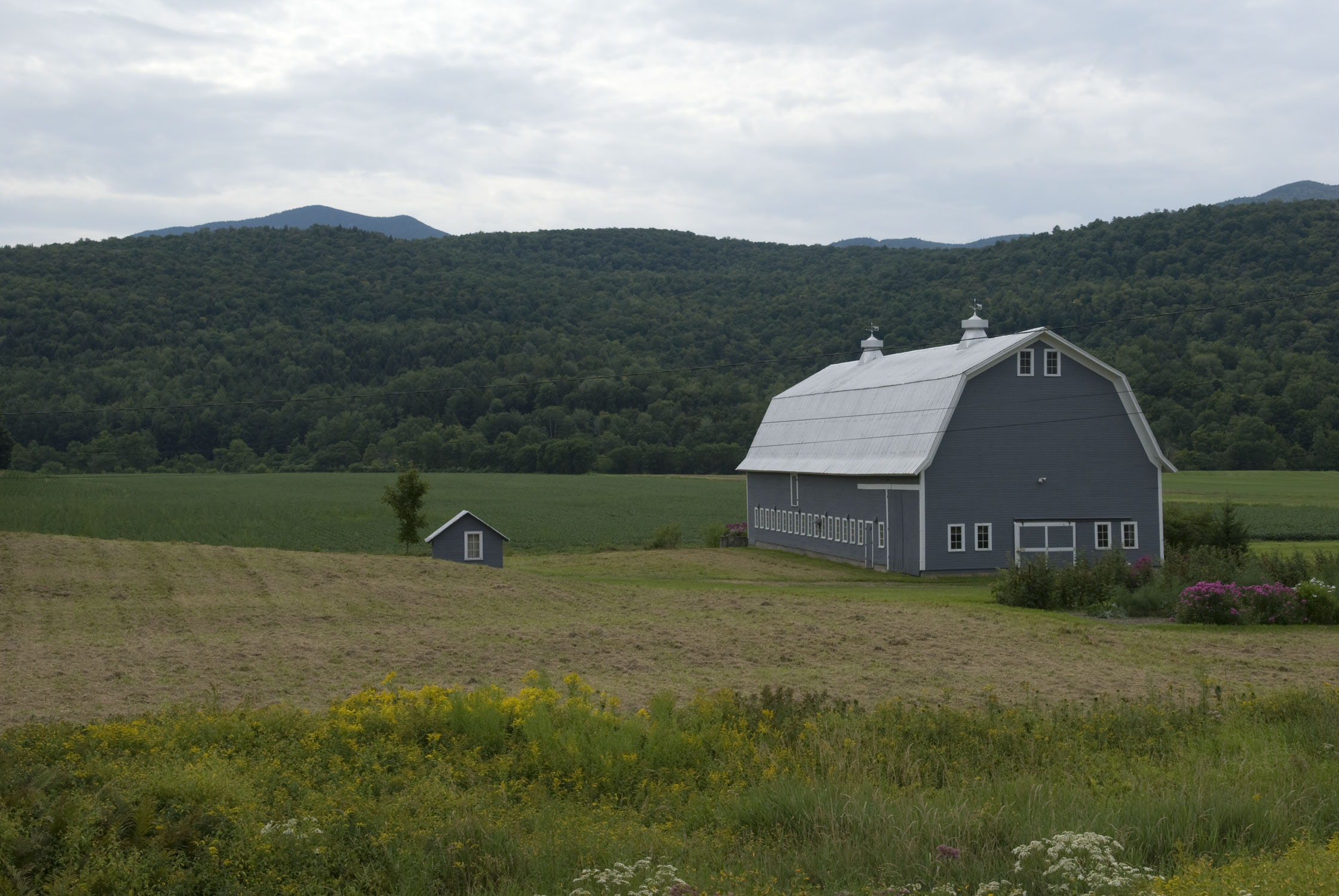 a barn with a hayed field next to it and another green field behind it