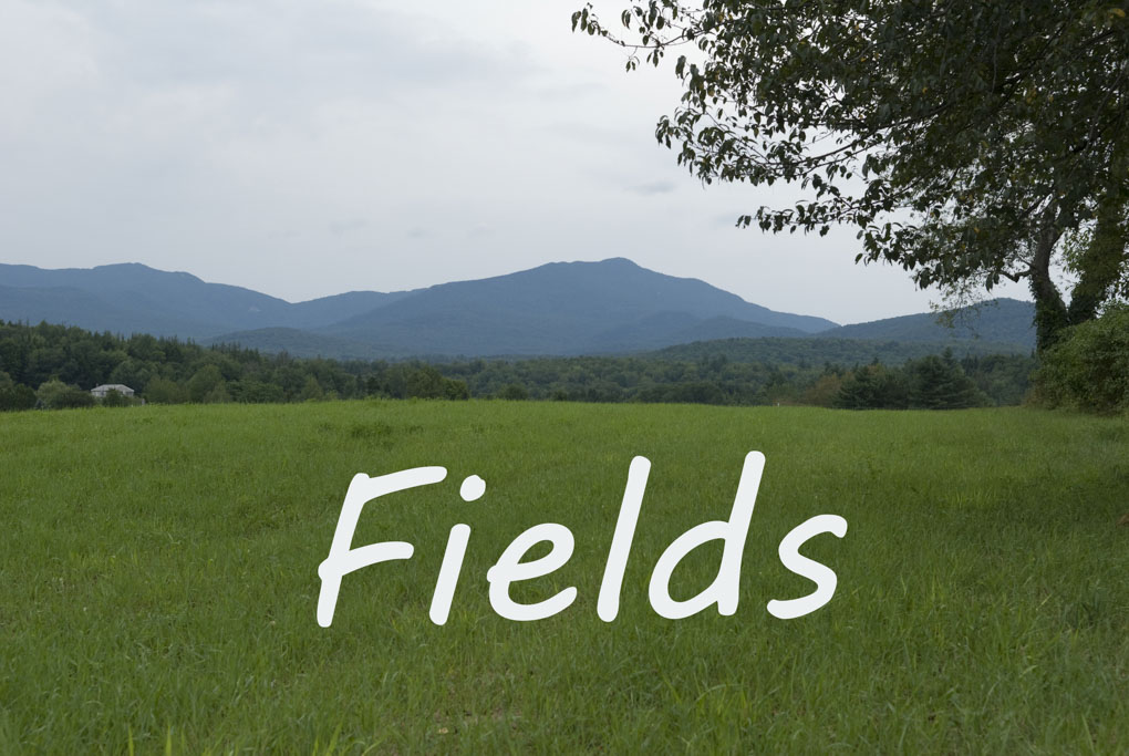 Fields cover photo