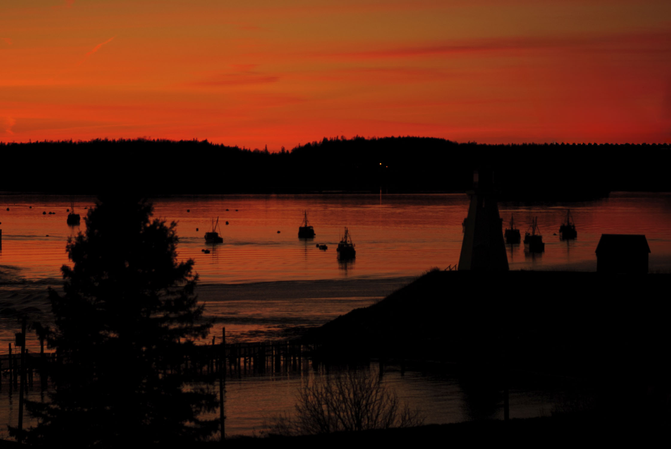 Red sky at the top, then trees, then water with some boats that reflect the sky, and a few more trees in the foreground