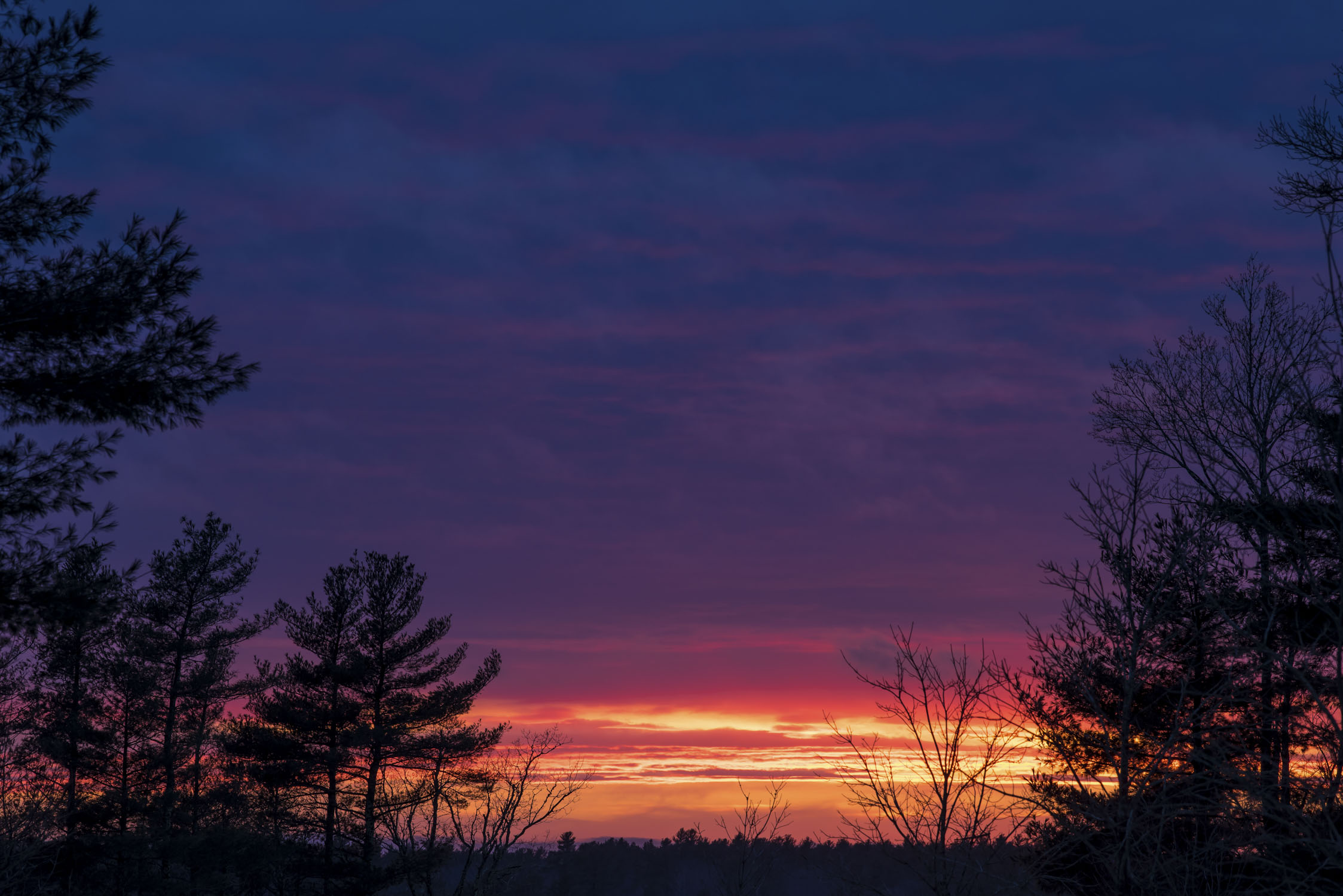 Tall trees are on each side of the photo, while in the middle the sky goes from a dark blue at the top, through purple and red, to yellow at the bottom