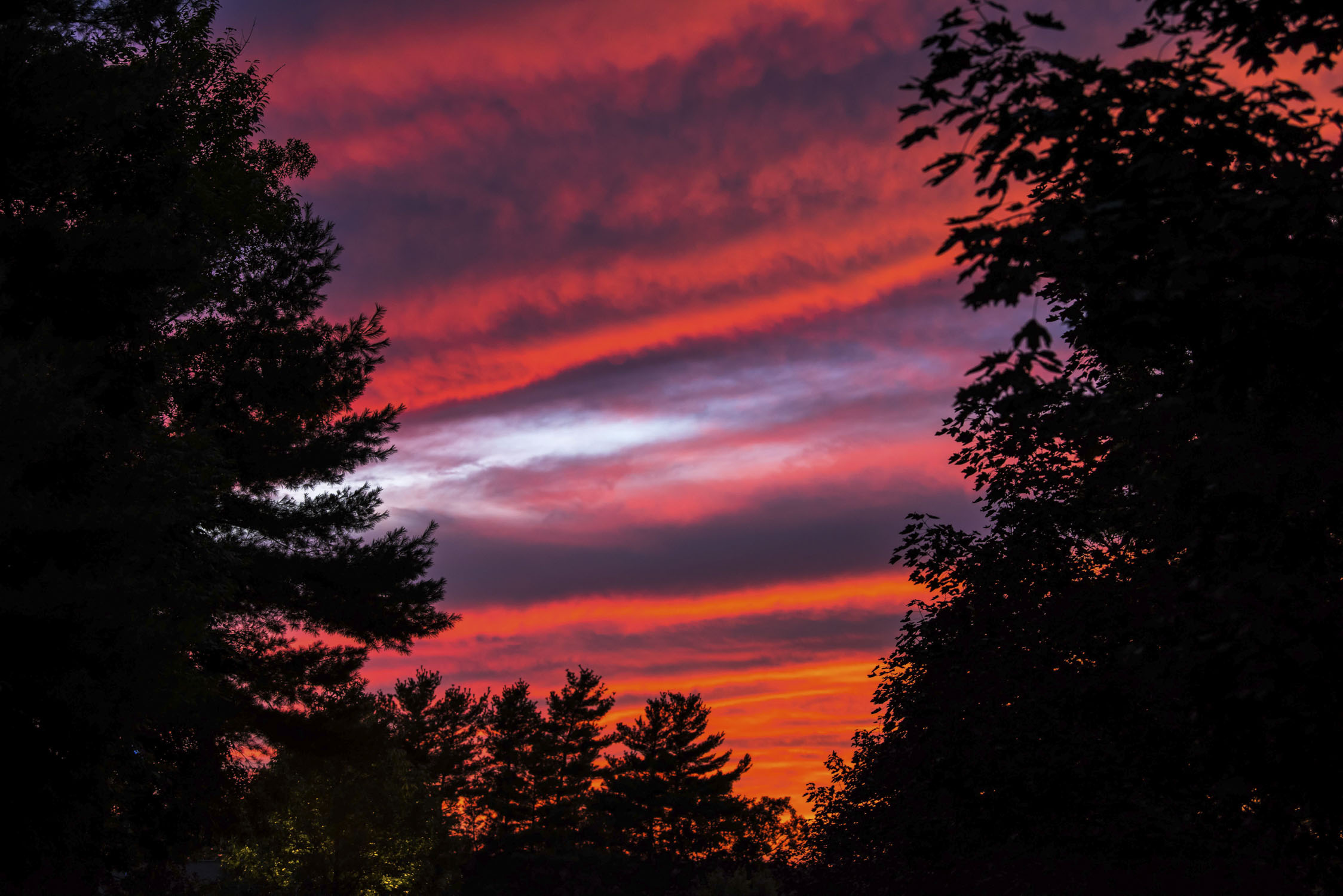 Tall trees are on each side of the photo, while in the middle the sky has shades of red