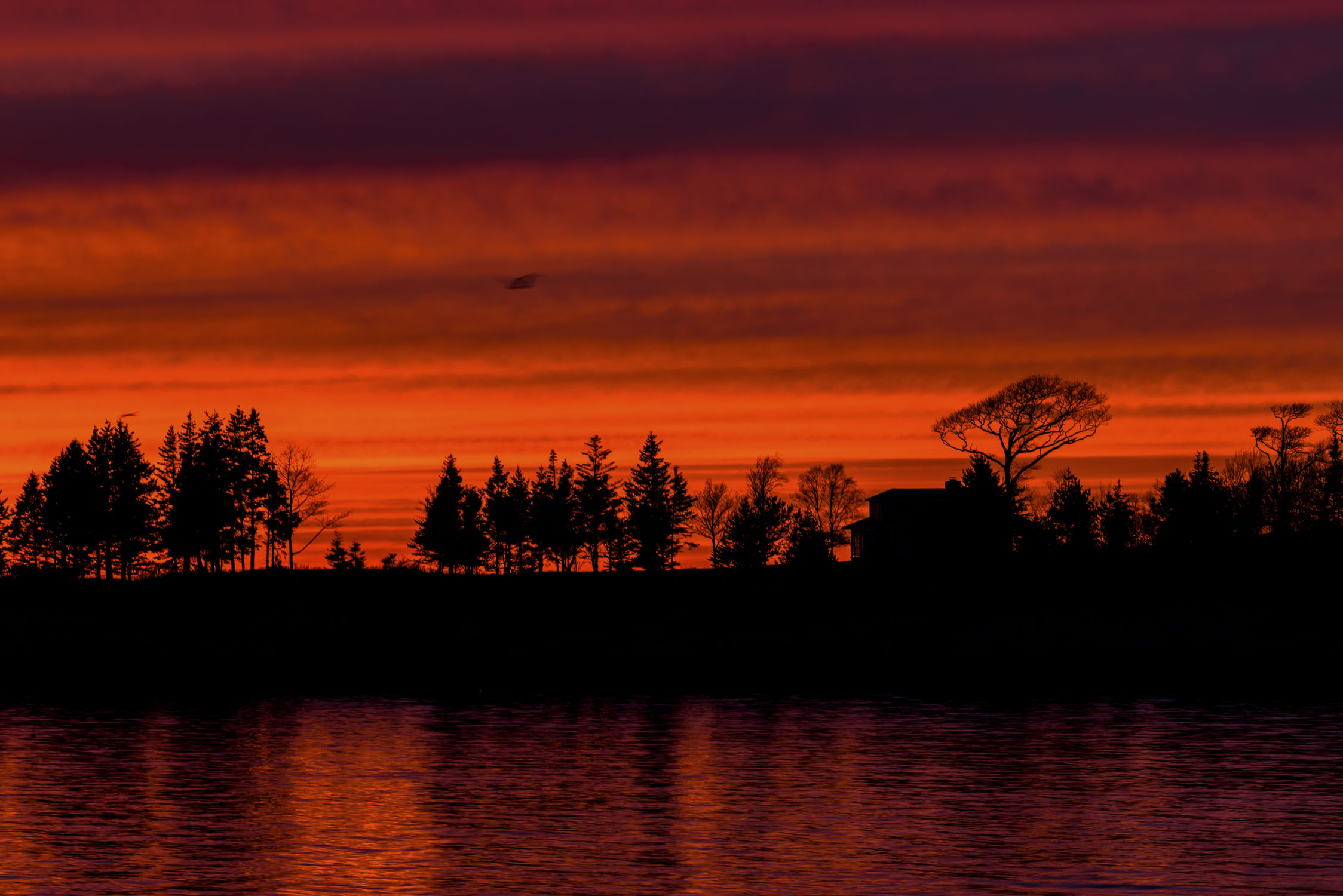 Water in the foreground reflects the sky, then there is a strip of land with silouhettes of trees and a house, with a strong red sky above