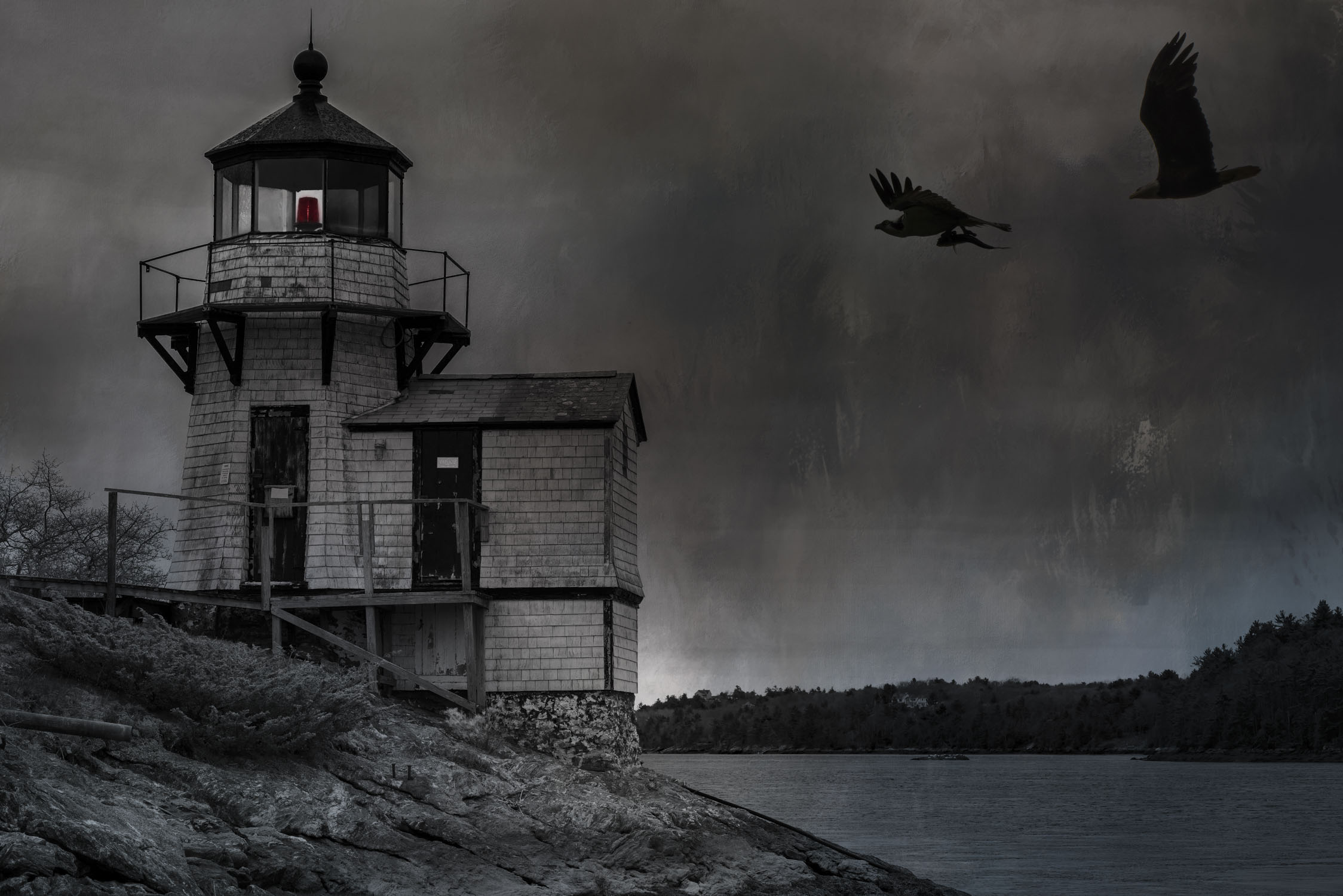 A composite work of a lighthouse with birds