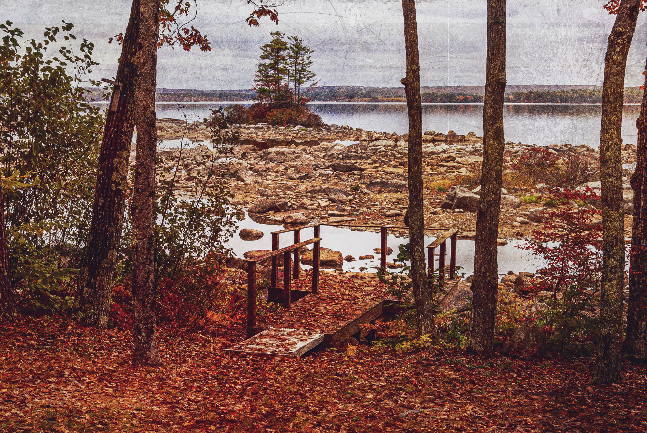 Blueberry Island viewed from behind the small landing