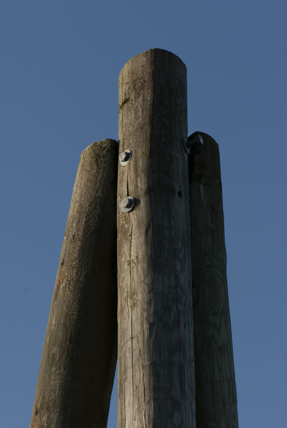 Pylons that stand up in an ocean harbor