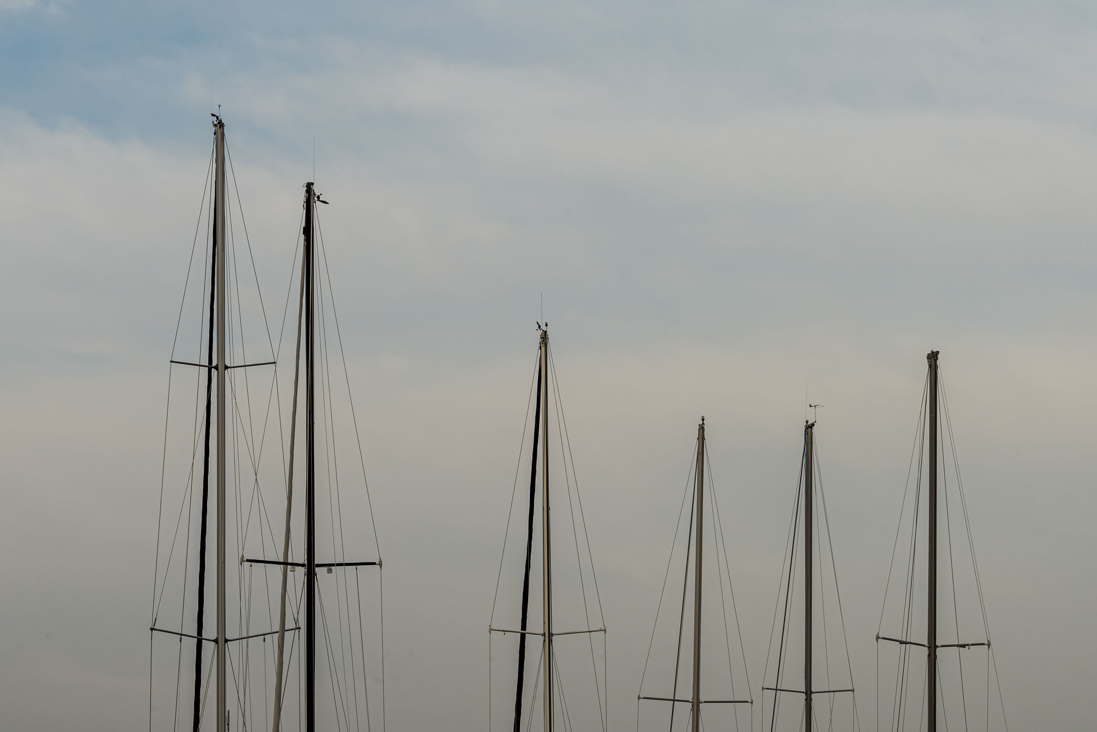 masts of sailing ships