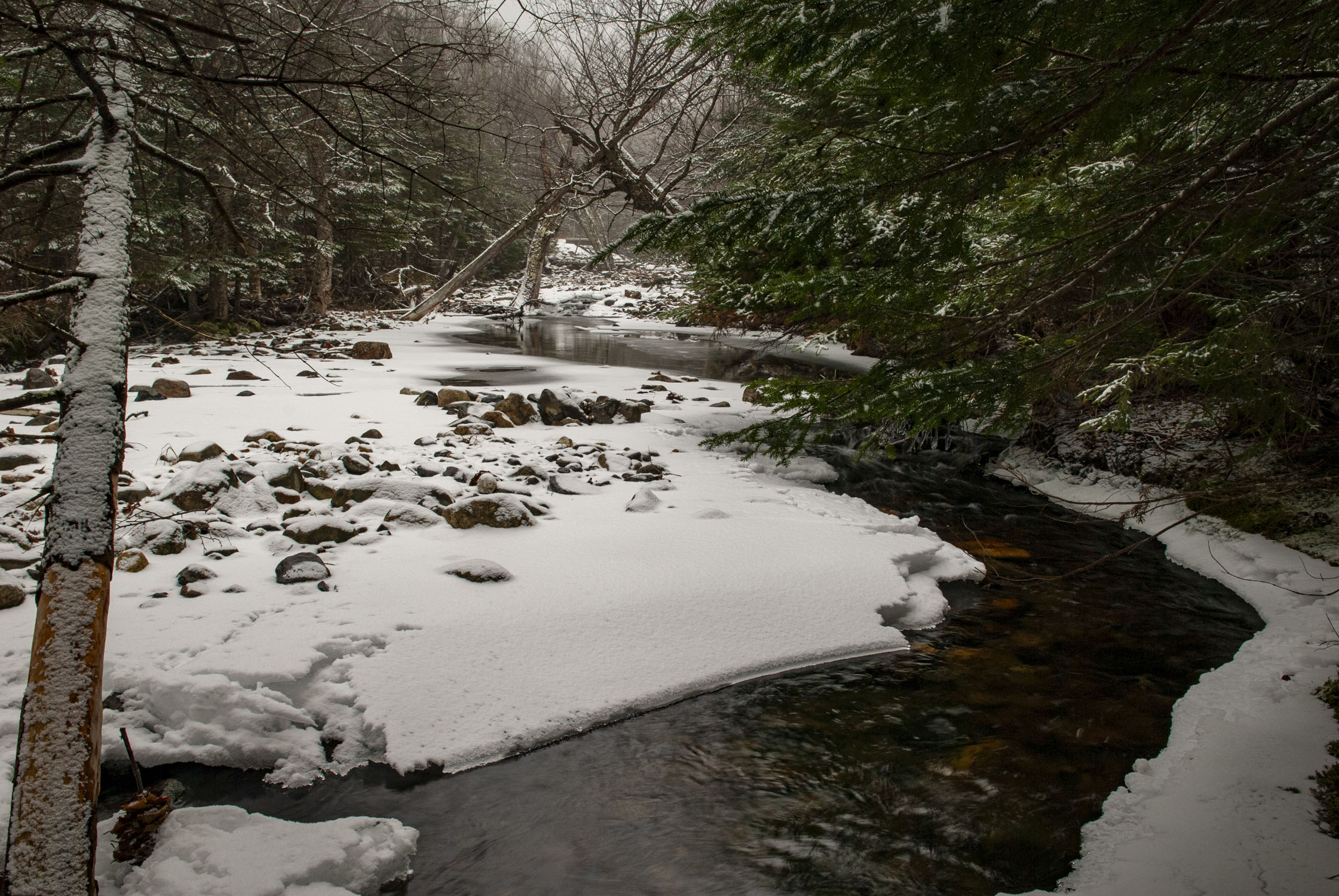A winding snow covered stream in New Hampshire