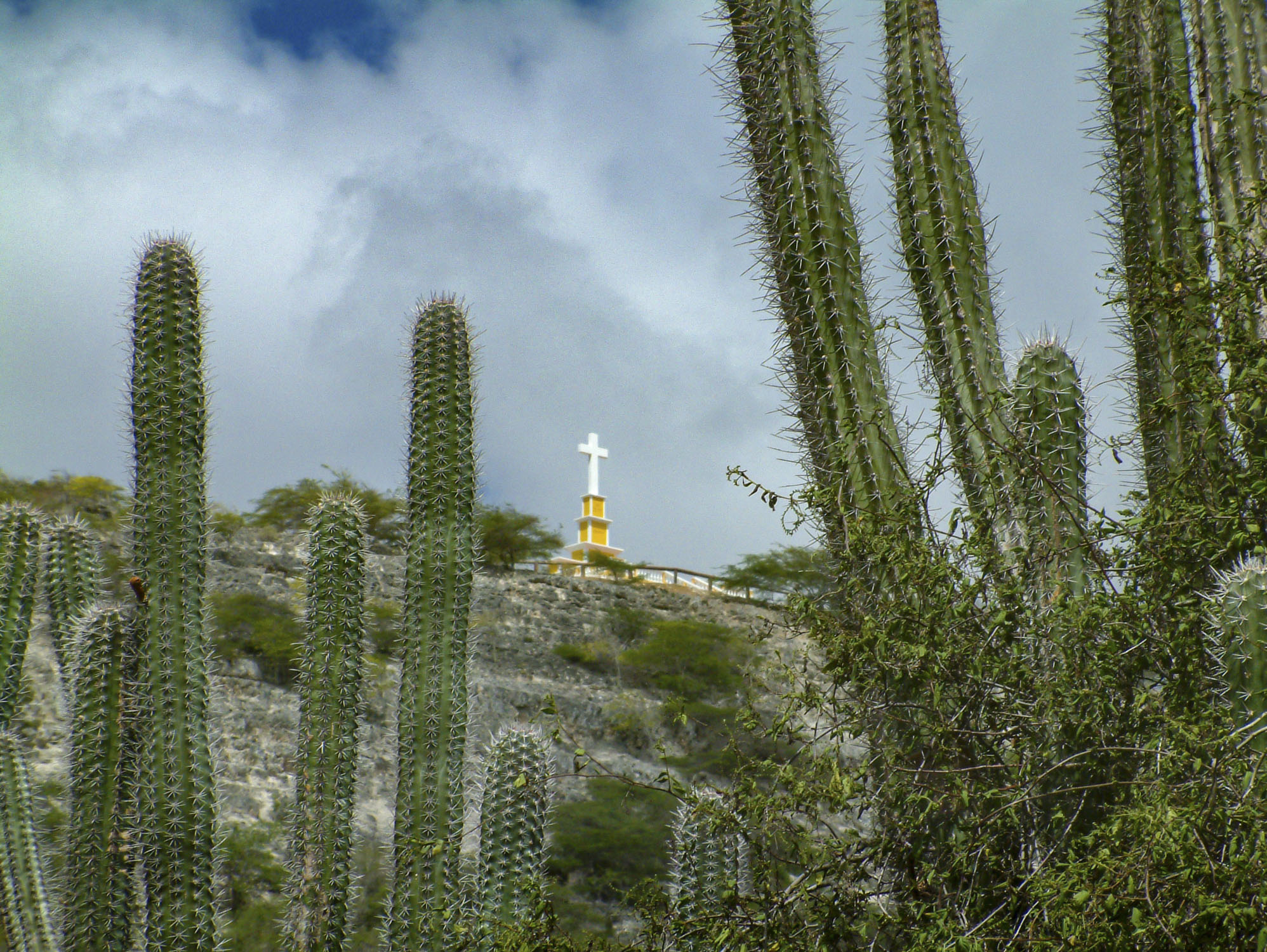 Cacti in the foreground, and a cross on a cliff in the distance