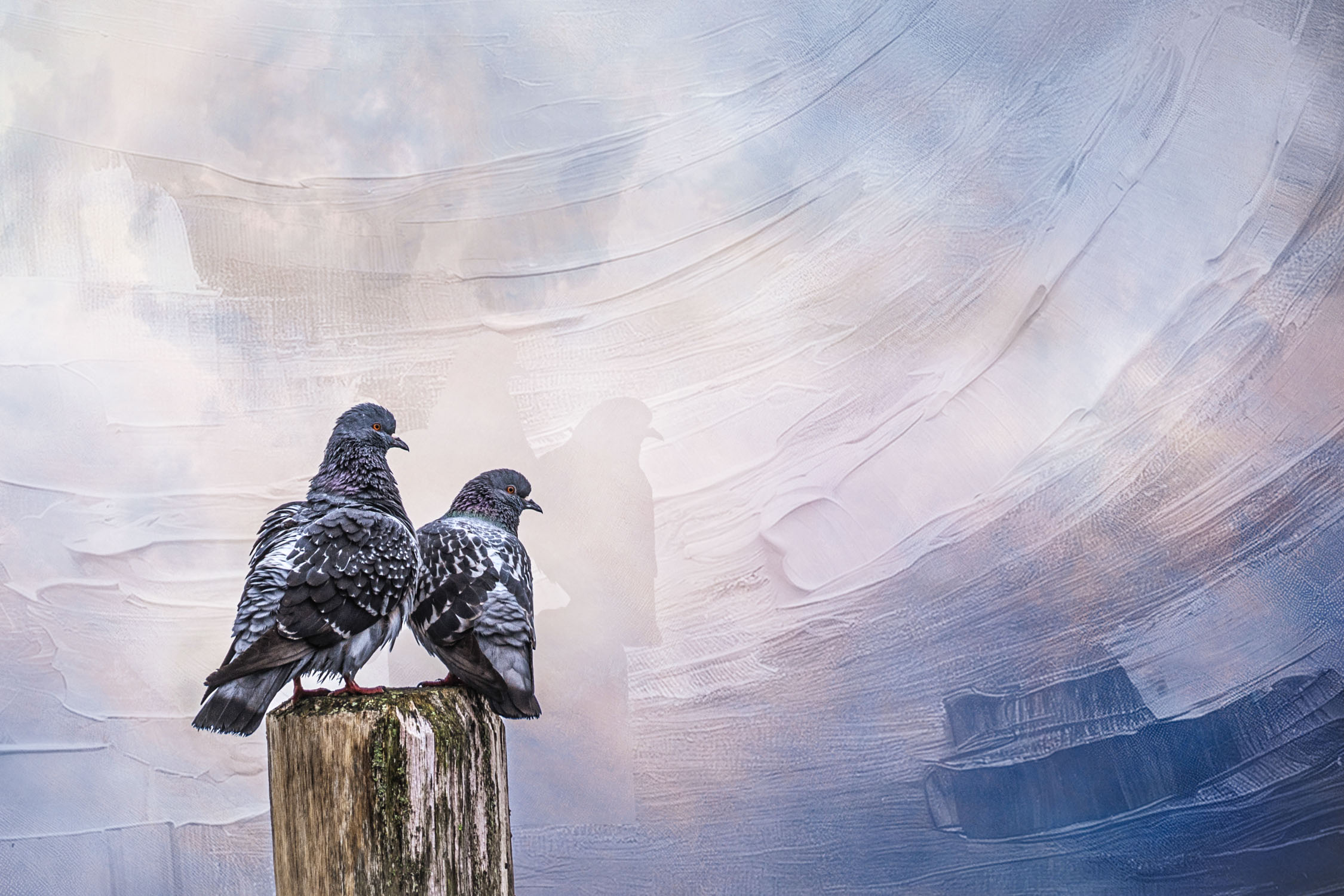 Two pigeons on a post with a paint textured background