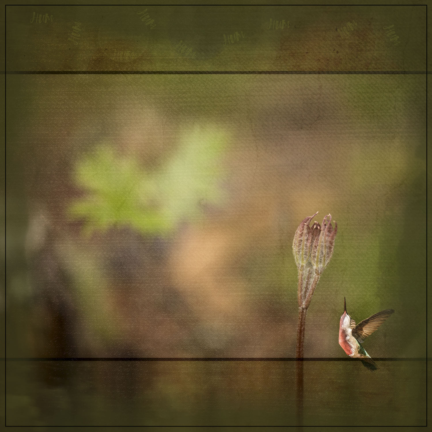 A hummingbird looking up at a small flower with a hazy background
