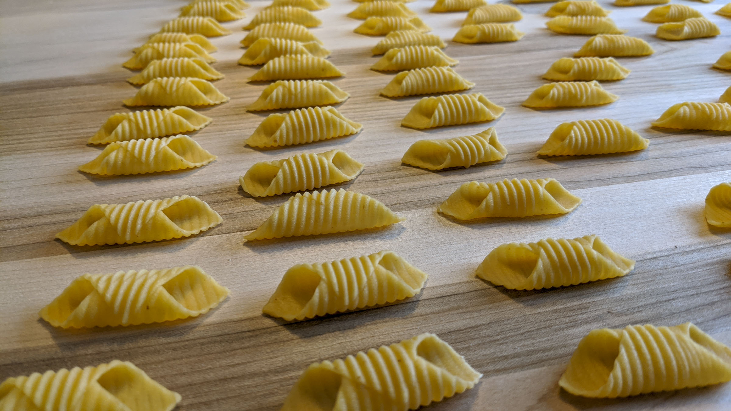rows of pasta shells