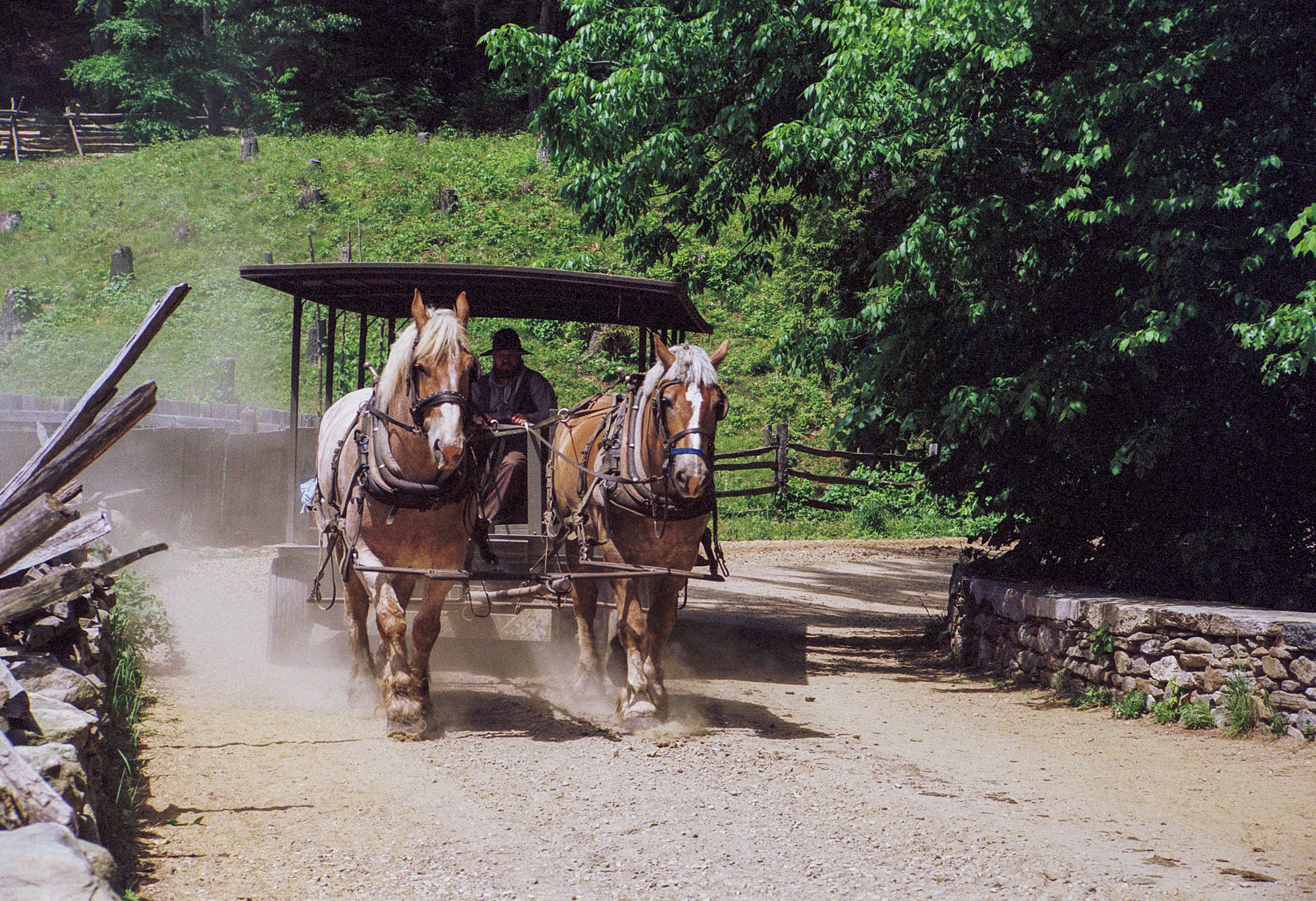 Horses pulling a carraige on a dirt road