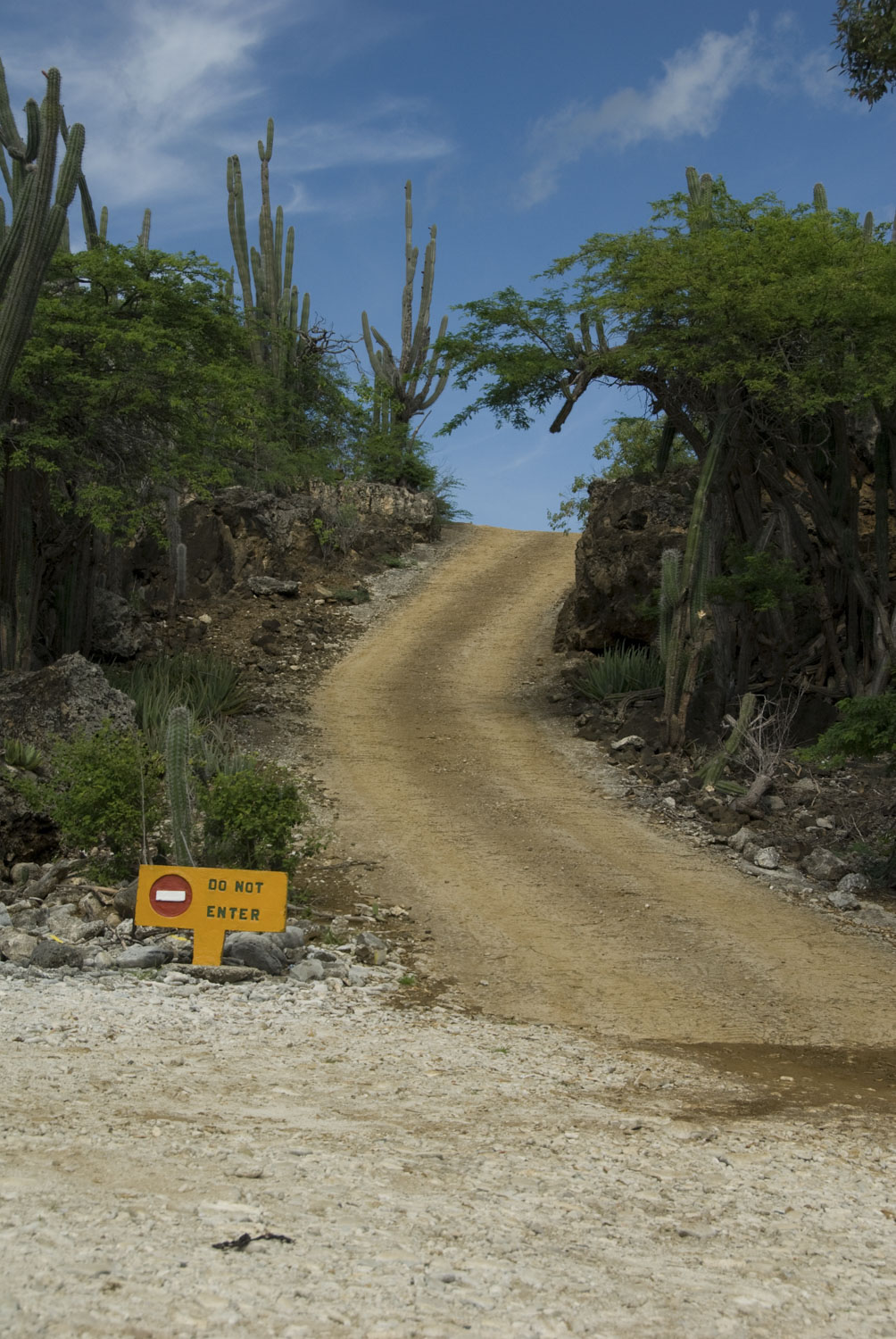 Looking up a dirt road with a Do Not Enter sign at the bottom of the road.