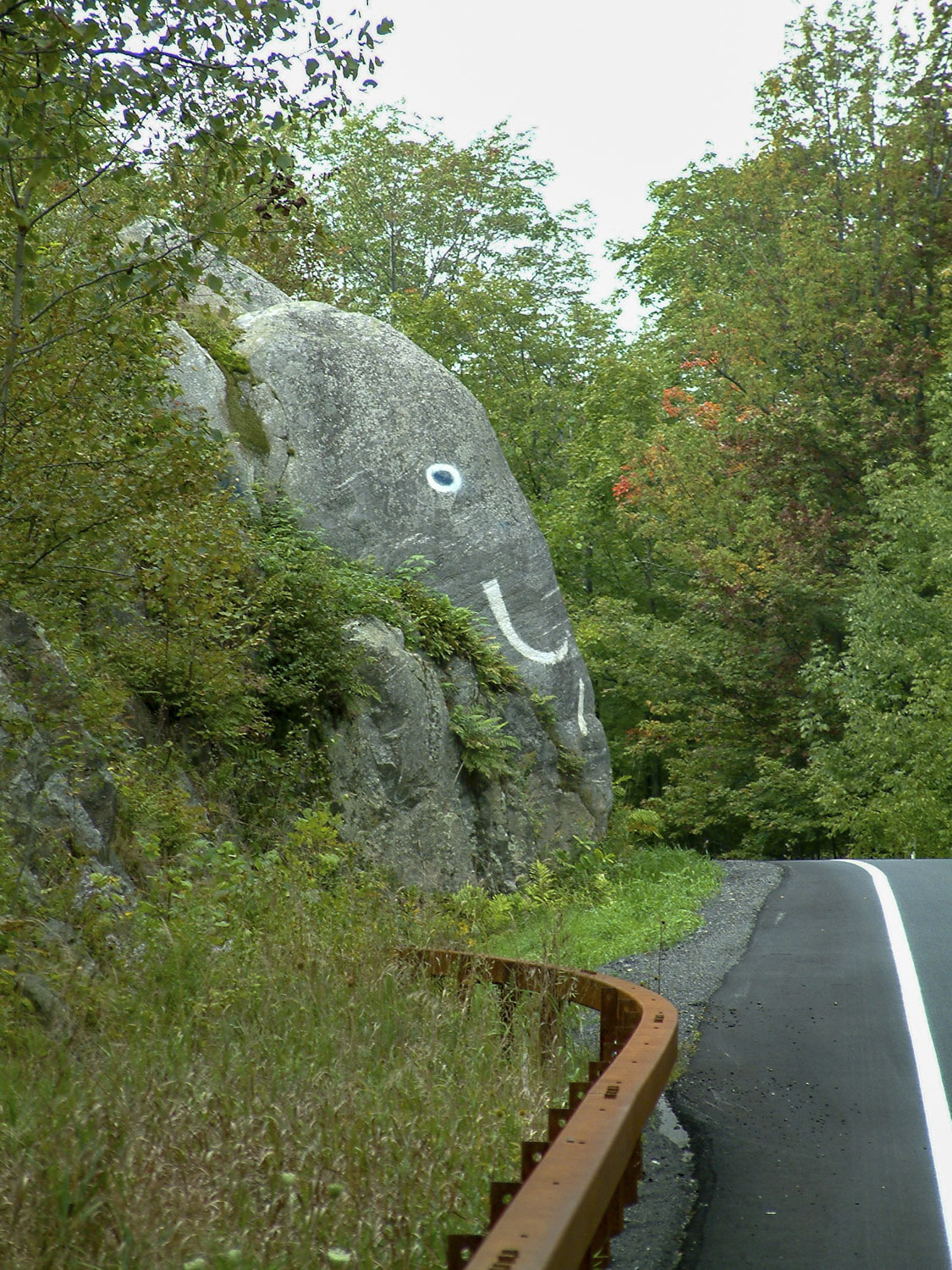 A large rock painted like an elephant is on the side of the road