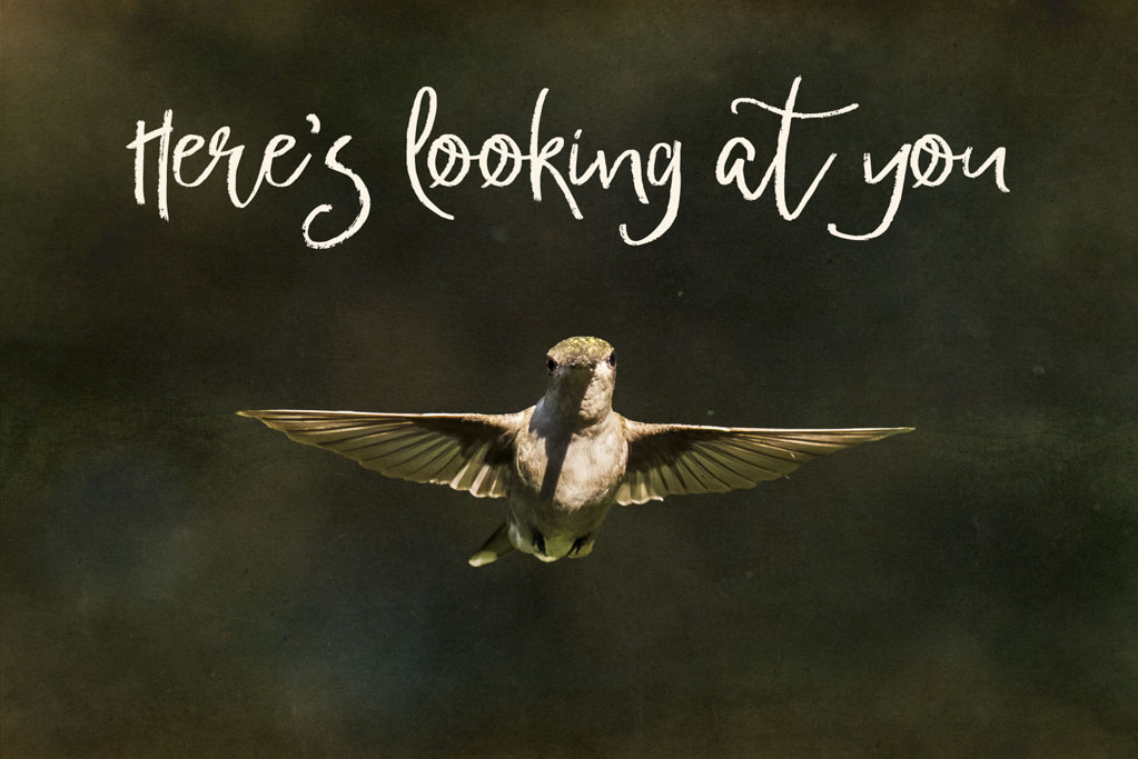 Looking At You cover photo