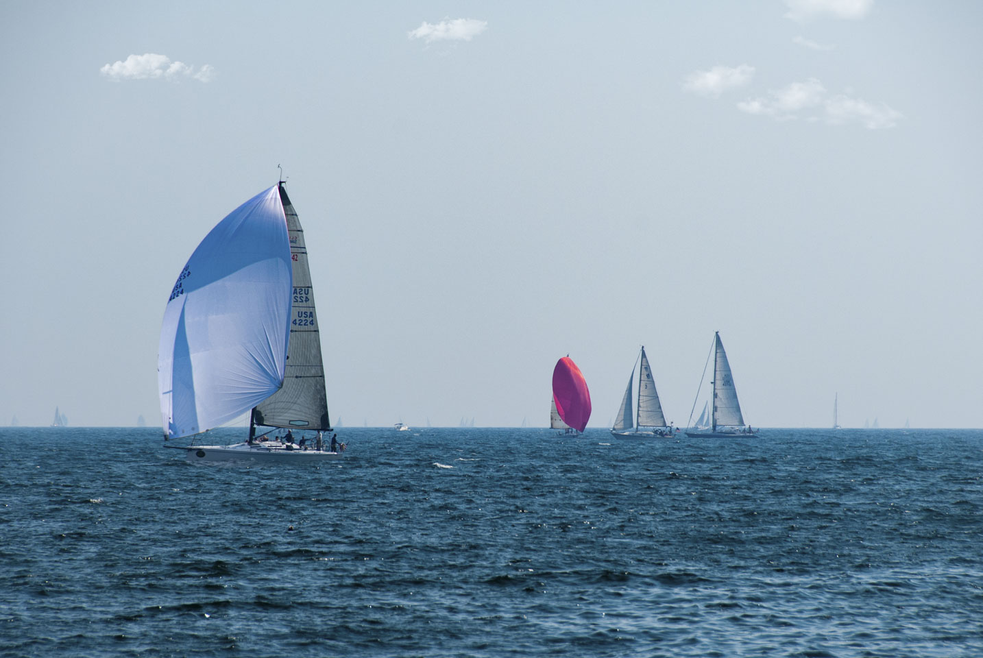 Many sailboats on the water, including one with a pink sail and one with a blue pattern