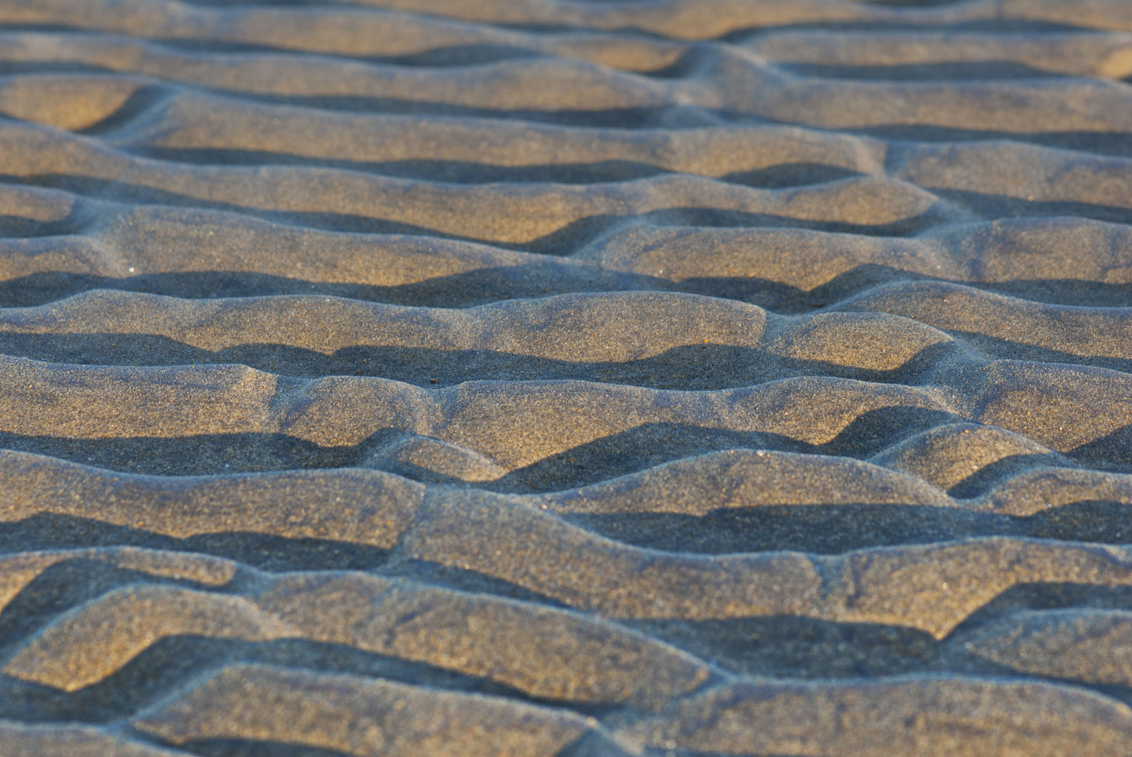 undulating sands