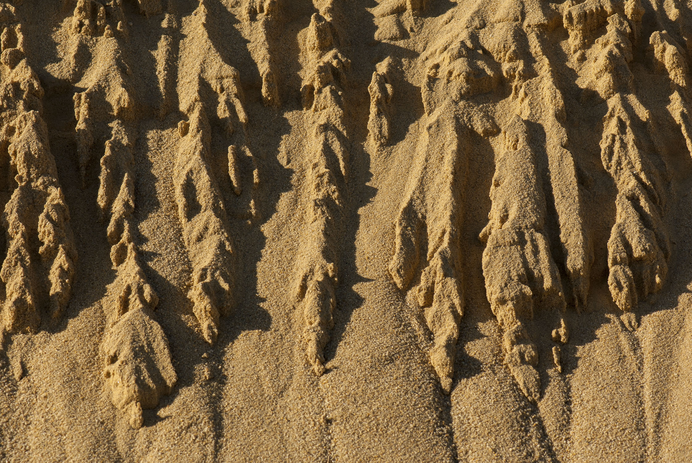 sand looking like fingers