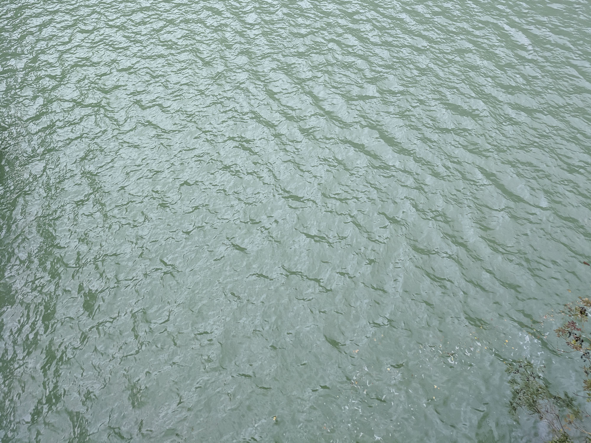 seafoam colored water