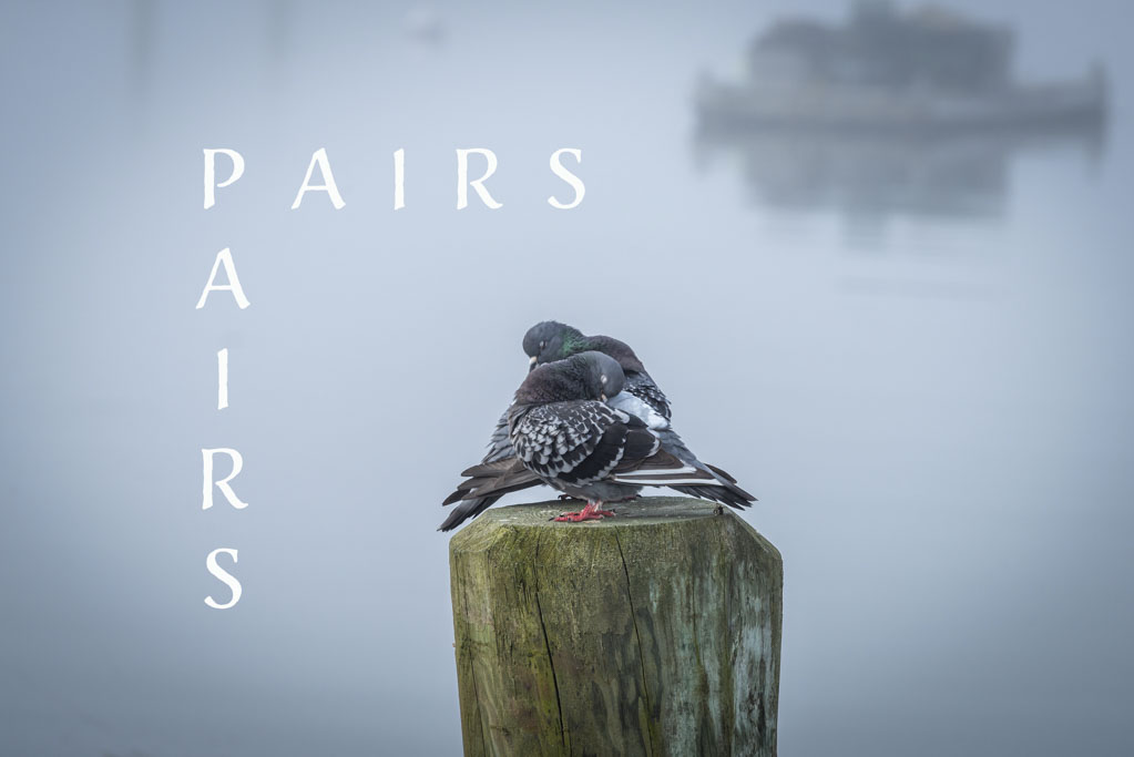 Pairs cover photo